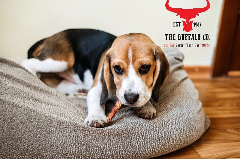 Buffalo Tail - Dog Treats - 1kg-1