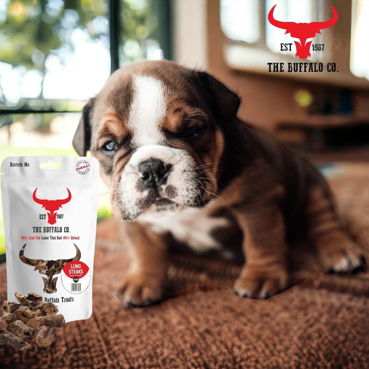 Buffalo Lung Steaks - Dog Treats - 1kg-1