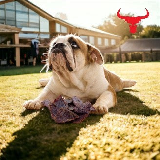 Buffalo Meat Jerky - Dog Treats - 1kg-1